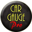 Car Gauge Pro (OBD2 + Enhance)
