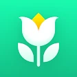 Plant Parent: Plant Care Guide