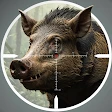Animal Hunter: Wild Shooting